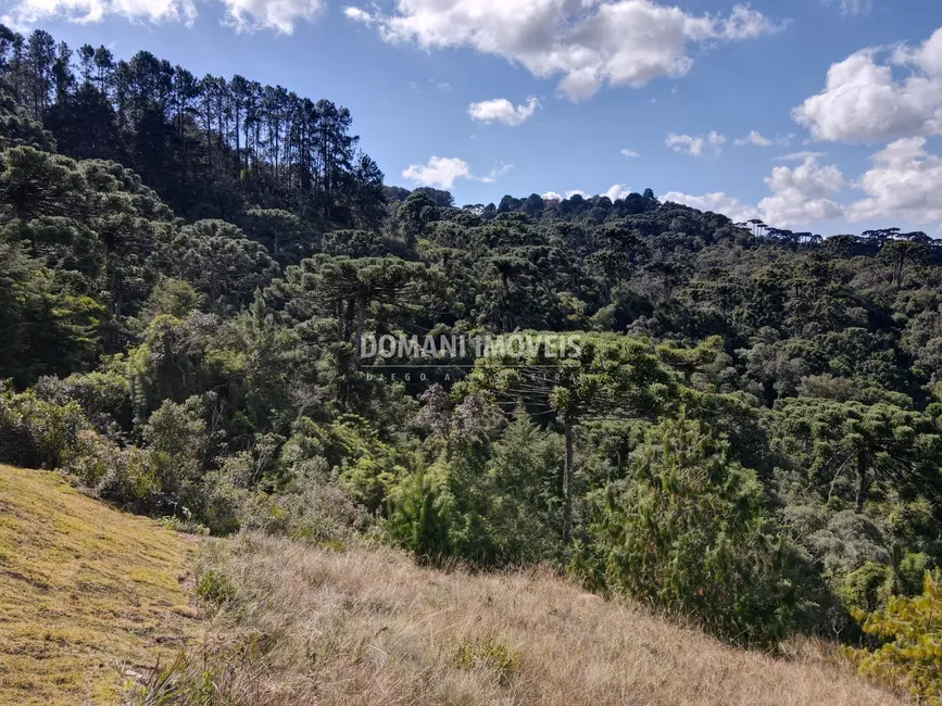 Foto 1 de Terreno / Lote à venda, 1110m2 em Campos Do Jordao - SP