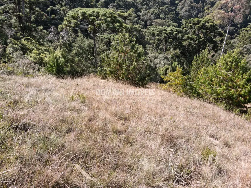 Foto 5 de Terreno / Lote à venda, 1110m2 em Campos Do Jordao - SP