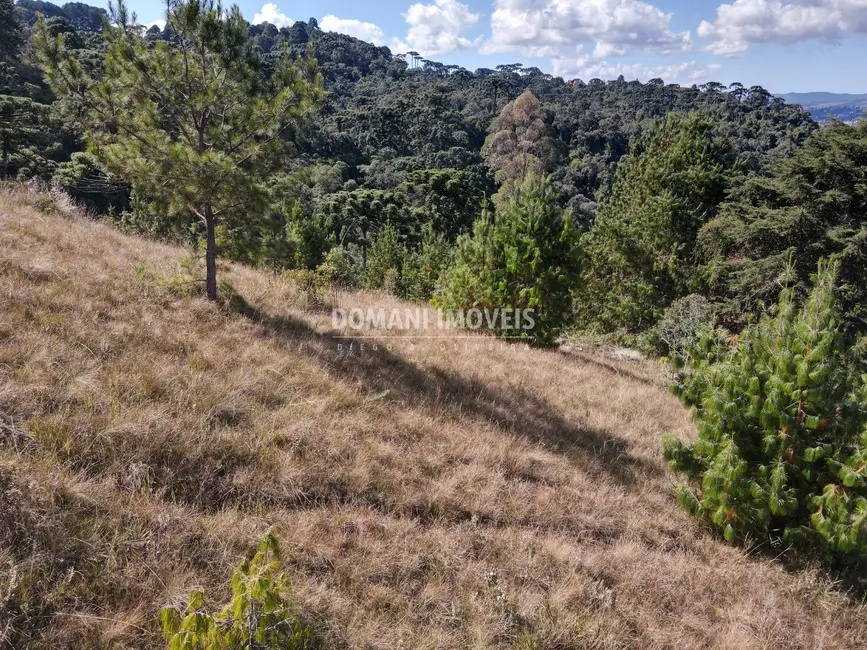 Foto 8 de Terreno / Lote à venda, 2210m2 em Campos Do Jordao - SP