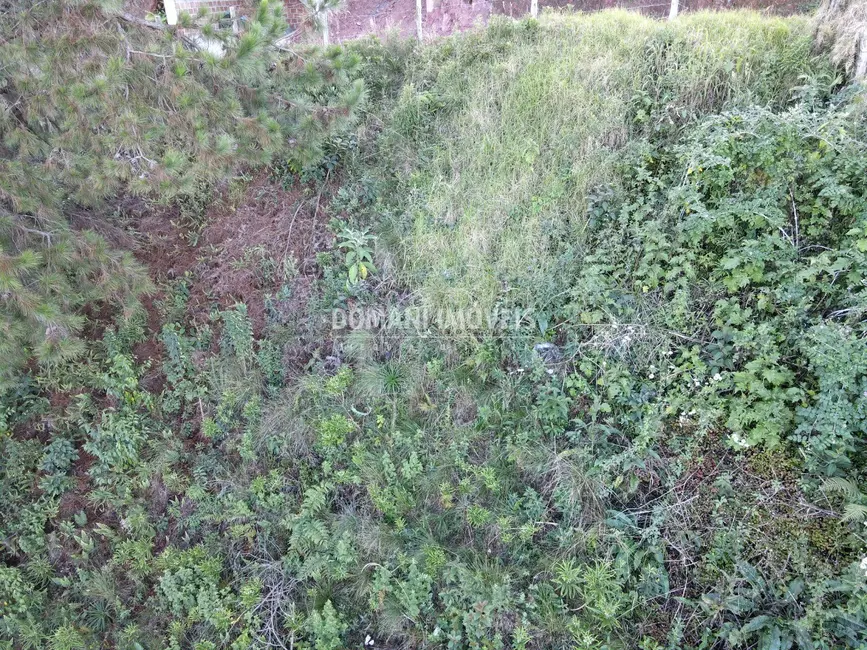 Foto 6 de Terreno / Lote à venda, 310m2 em Campos Do Jordao - SP