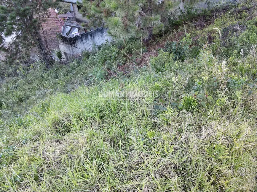 Foto 2 de Terreno / Lote à venda, 310m2 em Campos Do Jordao - SP