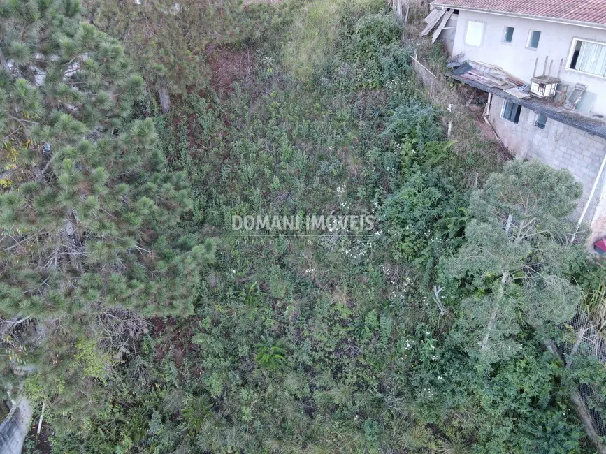Foto 4 de Terreno / Lote à venda, 310m2 em Campos Do Jordao - SP