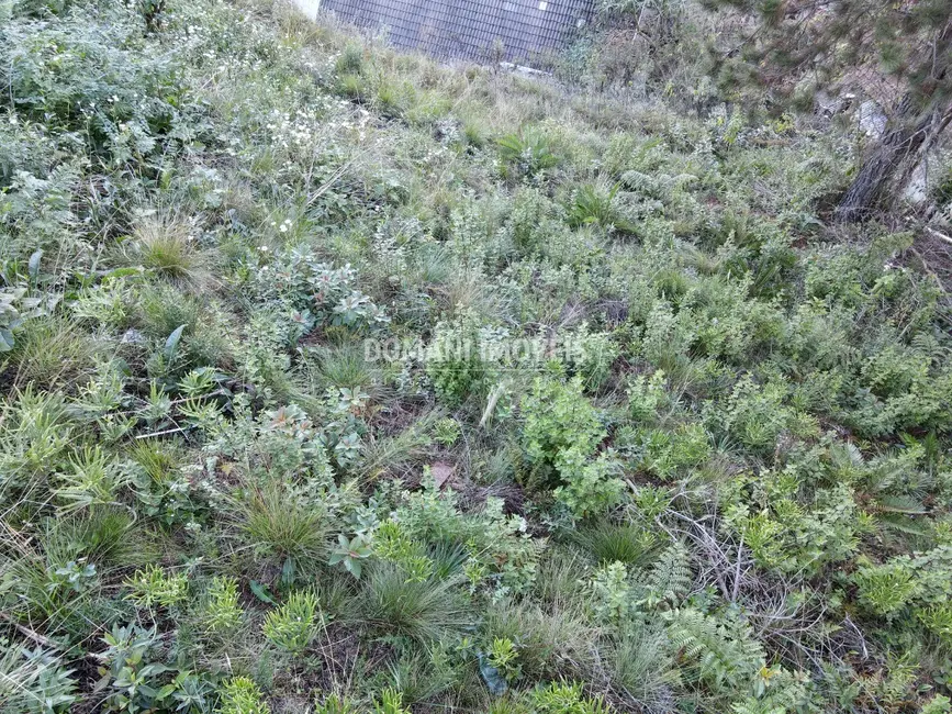 Foto 8 de Terreno / Lote à venda, 310m2 em Campos Do Jordao - SP