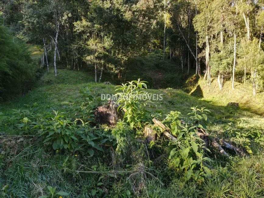 Foto 6 de Terreno / Lote à venda, 1110m2 em Campos Do Jordao - SP