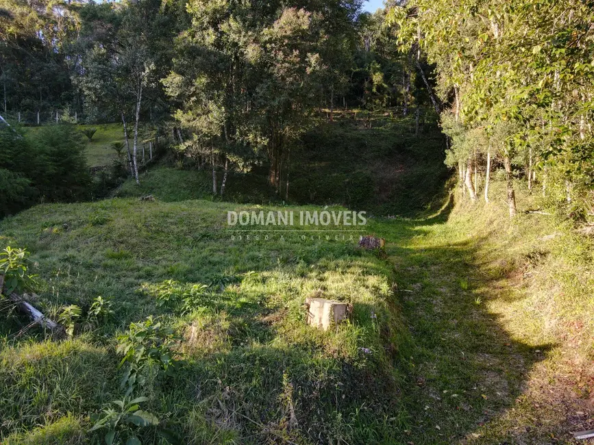 Foto 4 de Terreno / Lote à venda, 1110m2 em Campos Do Jordao - SP