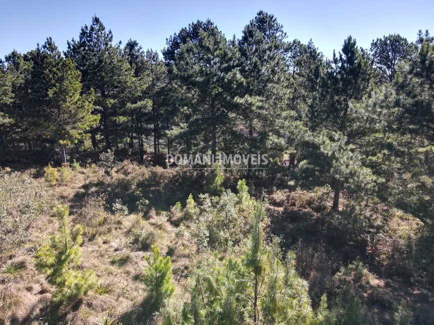 Foto 8 de Terreno / Lote à venda, 1030m2 em Campos Do Jordao - SP