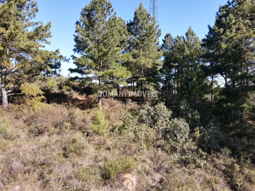 Foto 2 de Terreno / Lote à venda, 1030m2 em Campos Do Jordao - SP