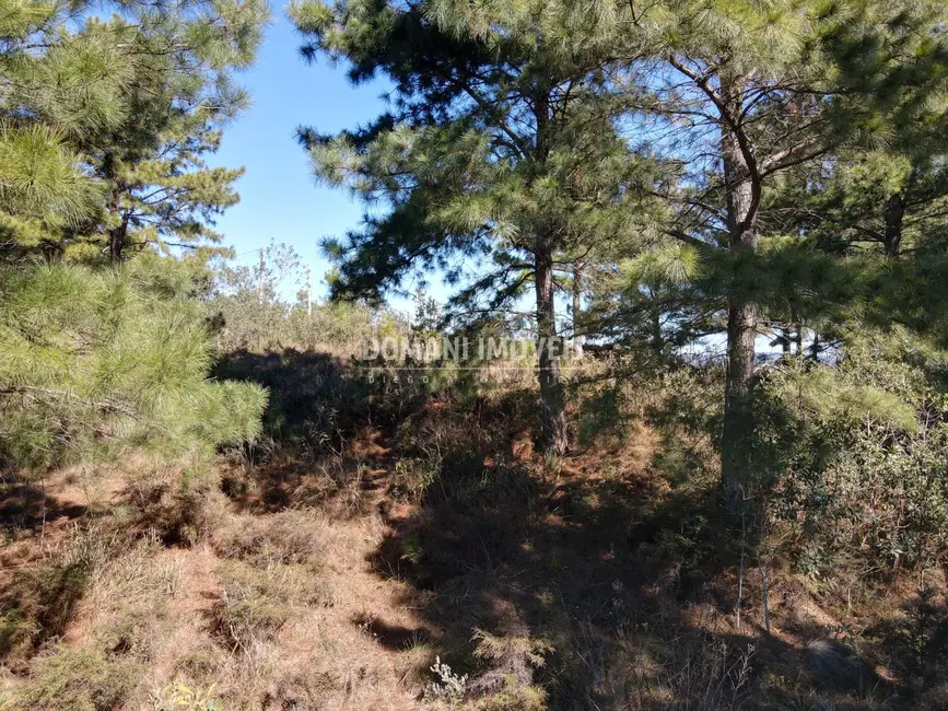 Foto 5 de Terreno / Lote à venda, 1030m2 em Campos Do Jordao - SP