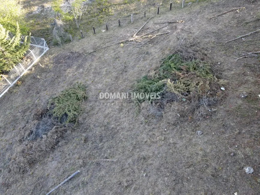Foto 3 de Terreno / Lote à venda, 1010m2 em Campos Do Jordao - SP
