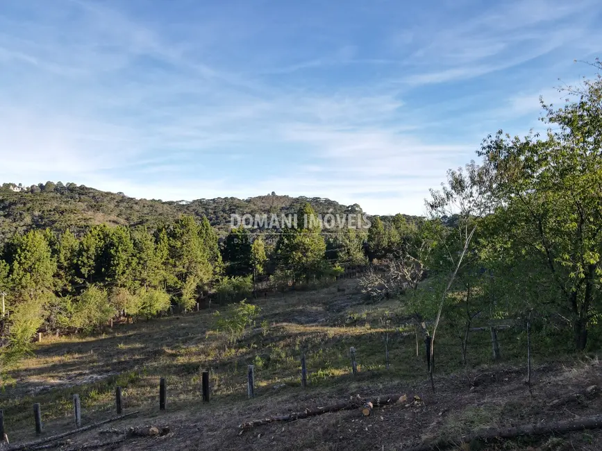 Foto 2 de Terreno / Lote à venda, 1010m2 em Campos Do Jordao - SP