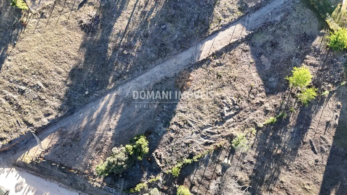 Terreno / Lote à venda, 1100m2 em Campos Do Jordao - SP - imagem 3 Foto 3 de Terreno / Lote à venda, 1100m2 em Campos Do Jordao - SP