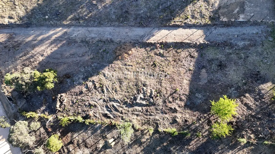 Terreno / Lote à venda, 1100m2 em Campos Do Jordao - SP - imagem 6 Foto 6 de Terreno / Lote à venda, 1100m2 em Campos Do Jordao - SP