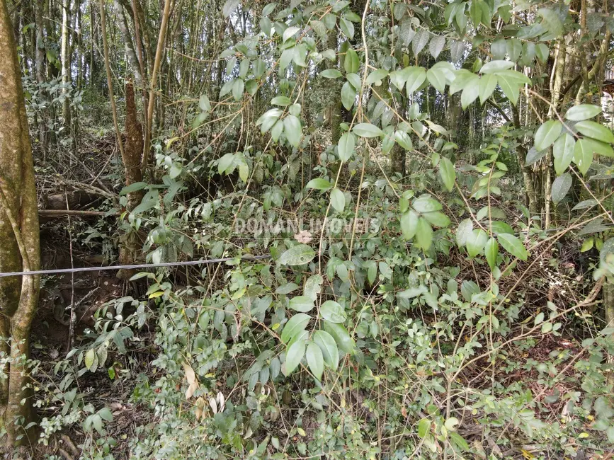 Foto 3 de Terreno / Lote à venda, 1040m2 em Campos Do Jordao - SP