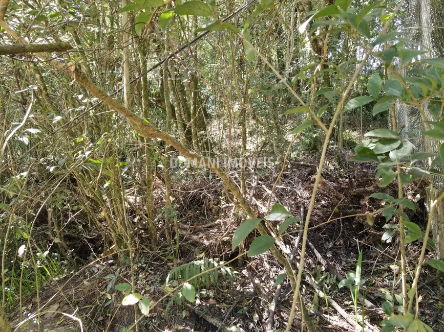 Foto 1 de Terreno / Lote à venda, 1040m2 em Campos Do Jordao - SP