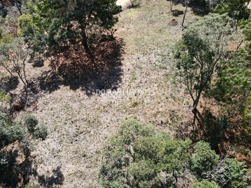 Foto 4 de Terreno / Lote à venda, 1680m2 em Campos Do Jordao - SP