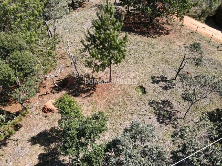 Foto 8 de Terreno / Lote à venda, 1680m2 em Campos Do Jordao - SP