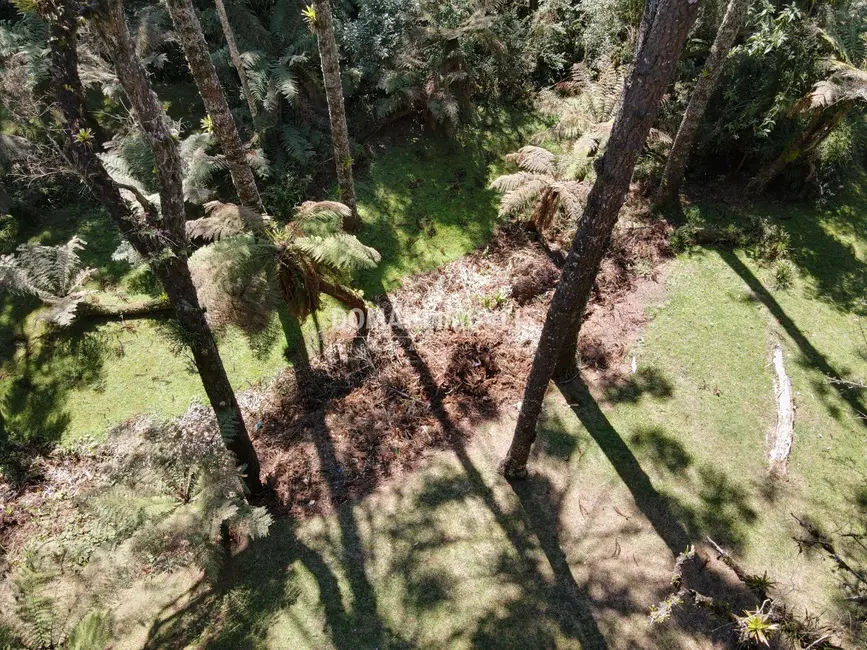 Foto 8 de Casa com 4 quartos à venda, 340m2 em Campos Do Jordao - SP