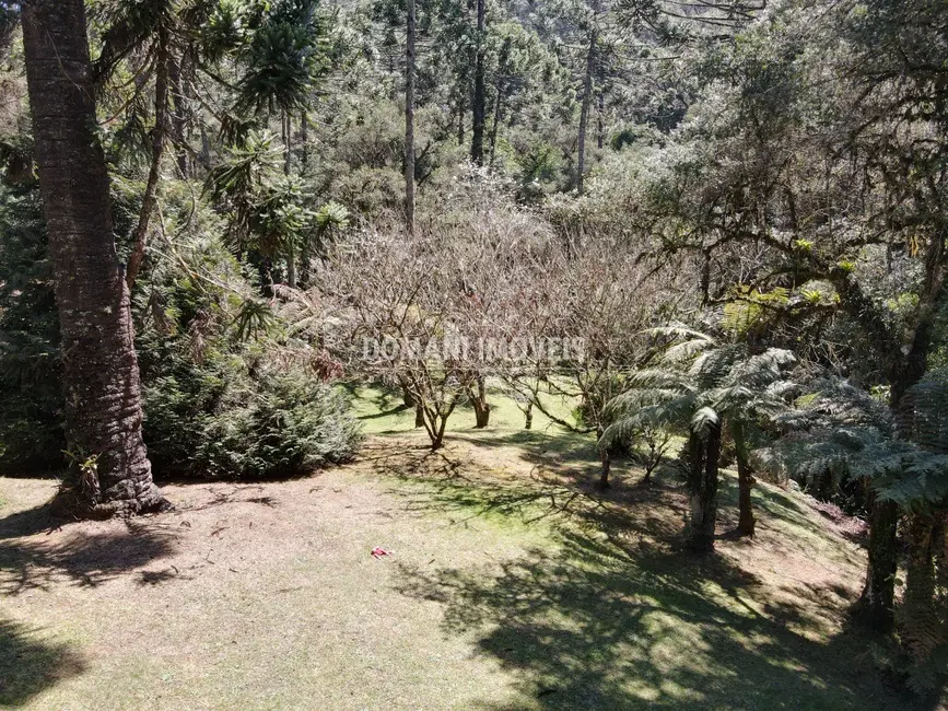 Foto 9 de Casa com 4 quartos à venda, 340m2 em Campos Do Jordao - SP