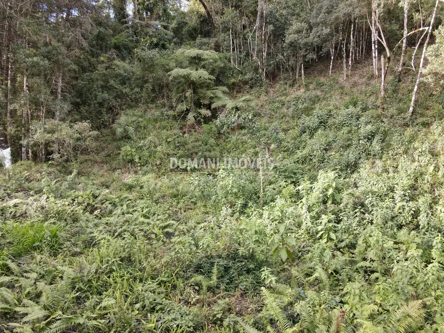 Foto 4 de Terreno / Lote à venda, 1655m2 em Campos Do Jordao - SP