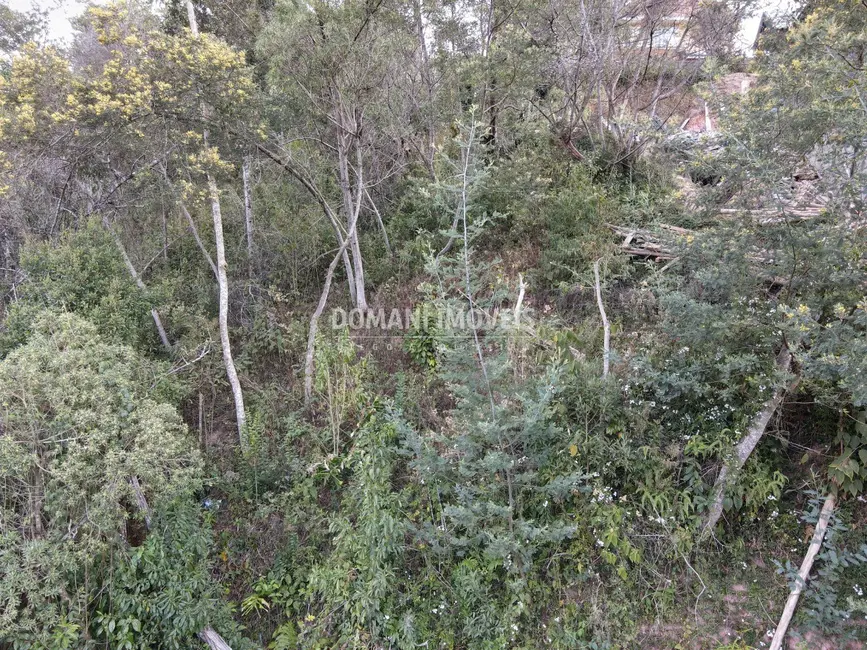 Foto 9 de Terreno / Lote à venda, 725m2 em Campos Do Jordao - SP