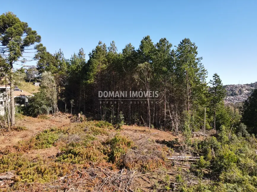 Foto 9 de Terreno / Lote à venda, 2540m2 em Campos Do Jordao - SP