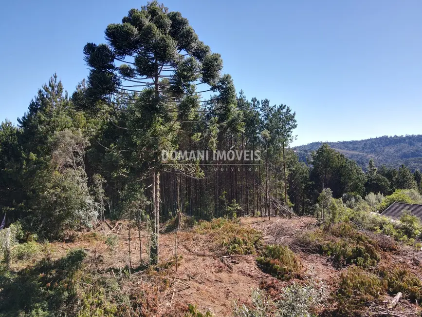 Foto 5 de Terreno / Lote à venda, 2540m2 em Campos Do Jordao - SP