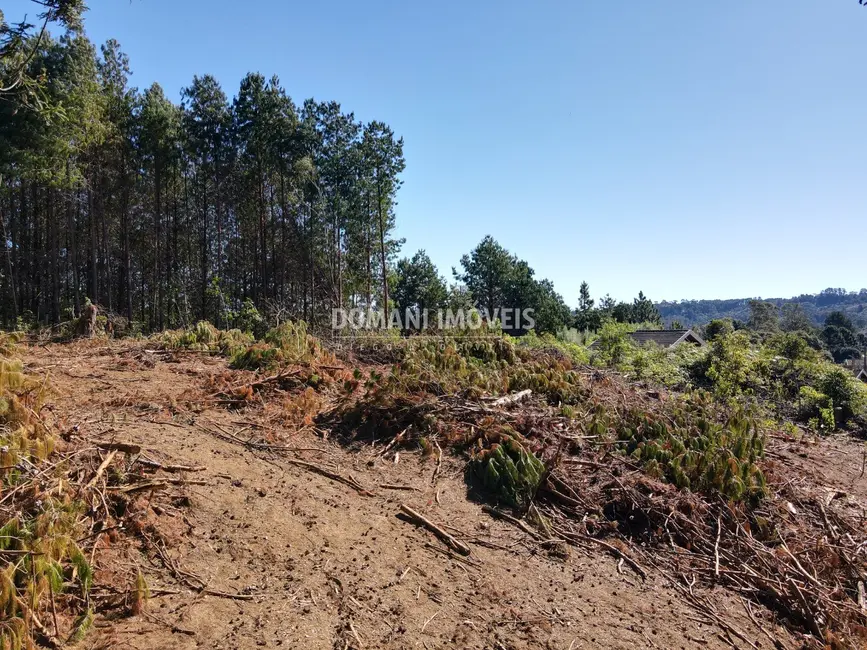 Foto 4 de Terreno / Lote à venda, 2540m2 em Campos Do Jordao - SP