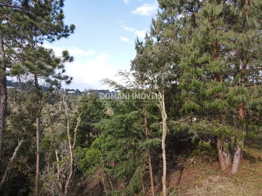 Foto 7 de Terreno / Lote à venda, 1380m2 em Campos Do Jordao - SP