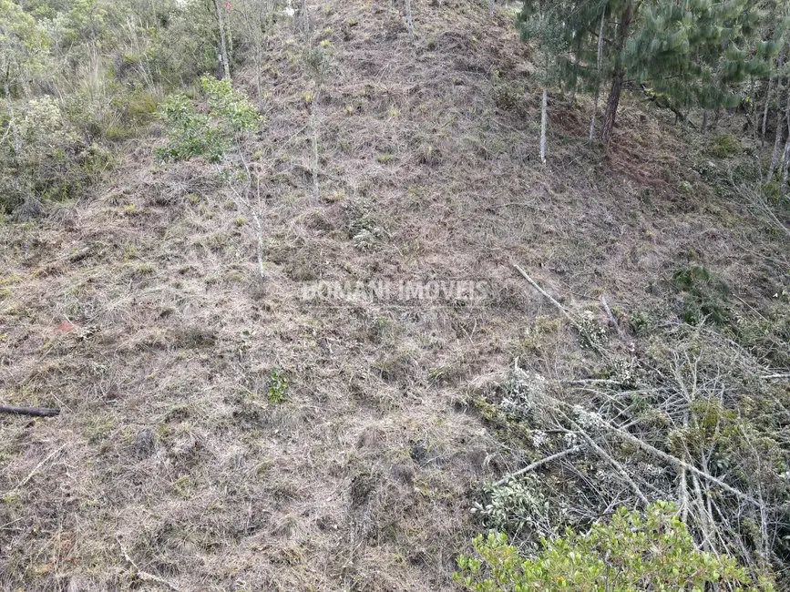 Foto 5 de Terreno / Lote à venda, 1380m2 em Campos Do Jordao - SP