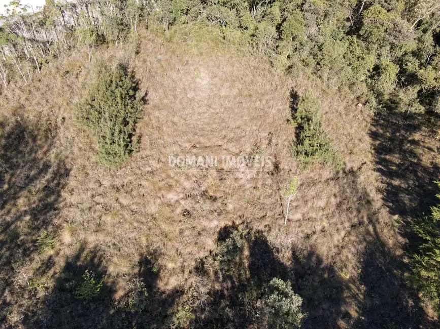 Foto 7 de Terreno / Lote à venda, 2910m2 em Campos Do Jordao - SP