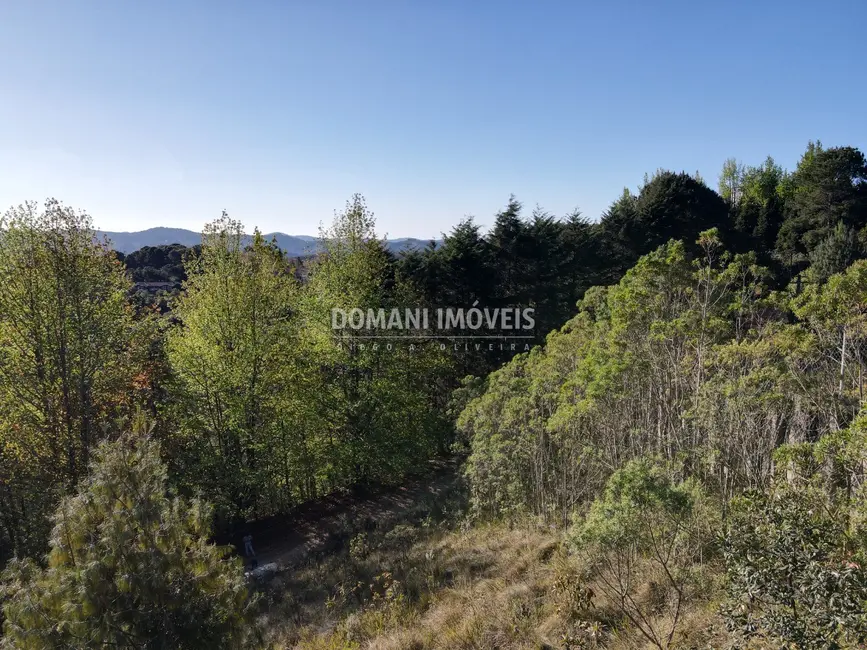 Foto 6 de Terreno / Lote à venda, 2910m2 em Campos Do Jordao - SP