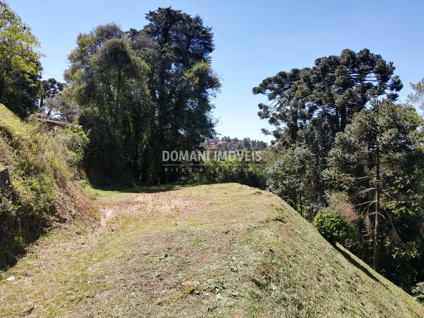 Foto 4 de Terreno / Lote à venda, 1750m2 em Campos Do Jordao - SP