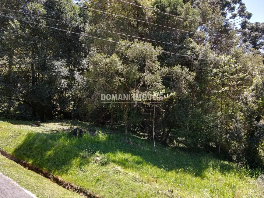 Foto 2 de Terreno / Lote à venda, 1530m2 em Campos Do Jordao - SP