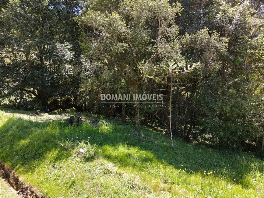 Foto 8 de Terreno / Lote à venda, 1530m2 em Campos Do Jordao - SP