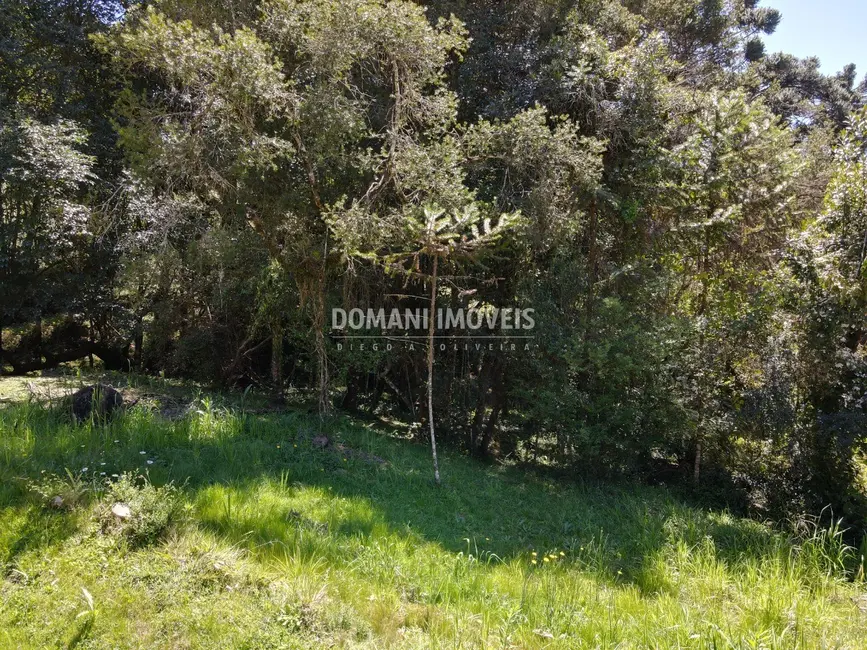 Foto 4 de Terreno / Lote à venda, 1530m2 em Campos Do Jordao - SP