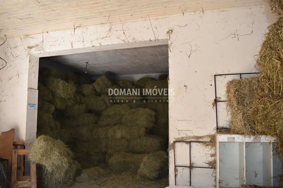 Foto 5 de Casa com 1 quarto à venda, 97m2 em Campos Do Jordao - SP