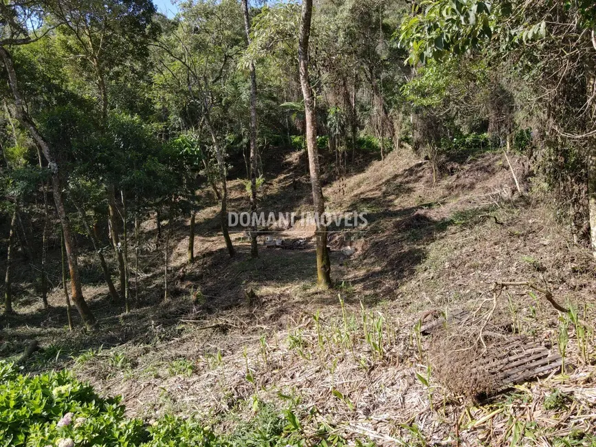 Foto 9 de Terreno / Lote à venda, 1055m2 em Campos Do Jordao - SP