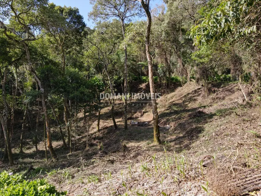 Foto 1 de Terreno / Lote à venda, 1055m2 em Campos Do Jordao - SP
