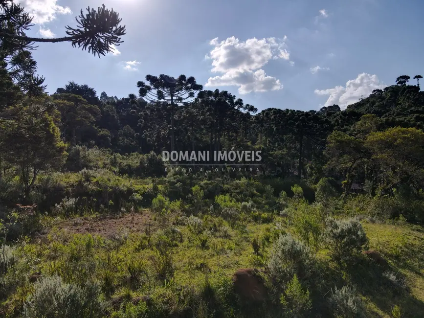 Foto 8 de Terreno / Lote à venda em Campos Do Jordao - SP