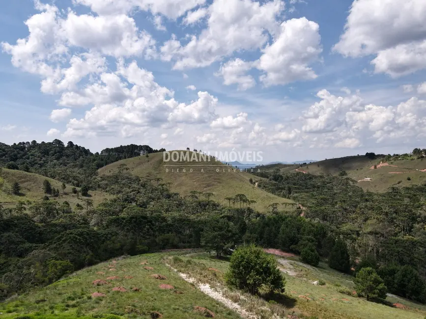 Terreno / Lote à venda, 1040m2 em Campos Do Jordao - SP - imagem 8 Foto 8 de Terreno / Lote à venda, 1040m2 em Campos Do Jordao - SP
