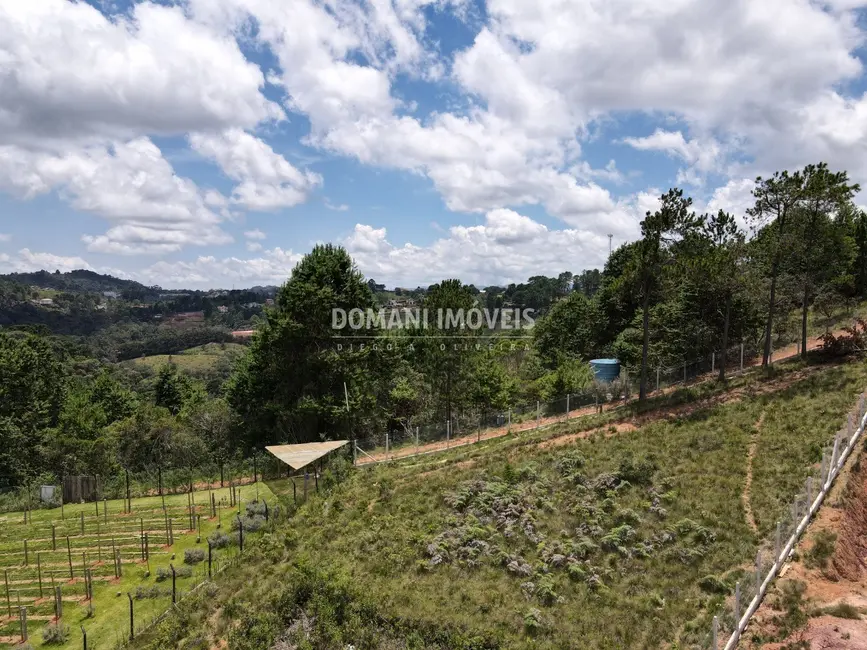 Foto 6 de Terreno / Lote à venda, 1350m2 em Campos Do Jordao - SP