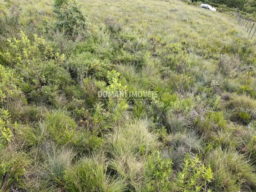 Foto 6 de Terreno / Lote à venda, 1340m2 em Campos Do Jordao - SP