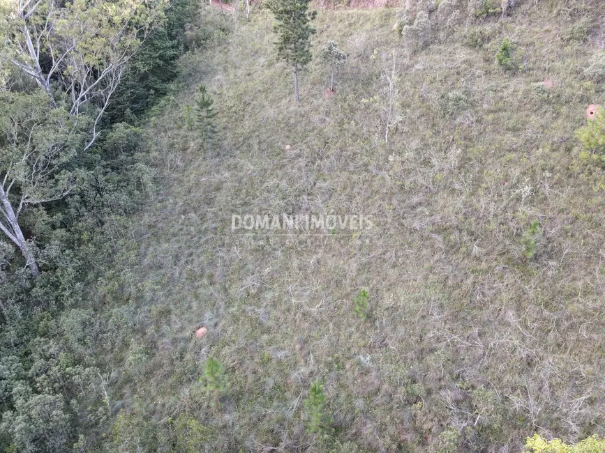 Terreno / Lote à venda, 3590m2 em Campos Do Jordao - SP - imagem 3 Foto 3 de Terreno / Lote à venda, 3590m2 em Campos Do Jordao - SP