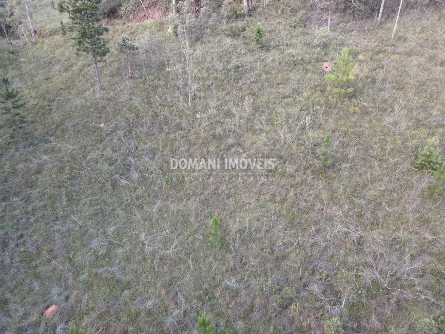 Terreno / Lote à venda, 3590m2 em Campos Do Jordao - SP - imagem 8 Foto 8 de Terreno / Lote à venda, 3590m2 em Campos Do Jordao - SP