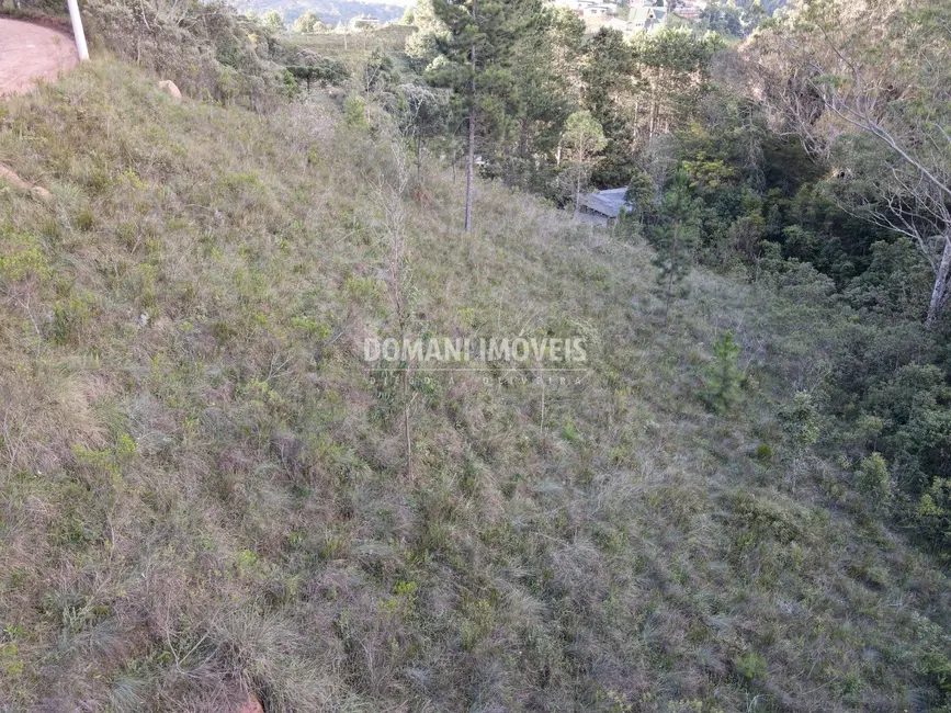 Terreno / Lote à venda, 3590m2 em Campos Do Jordao - SP - imagem 9 Foto 9 de Terreno / Lote à venda, 3590m2 em Campos Do Jordao - SP