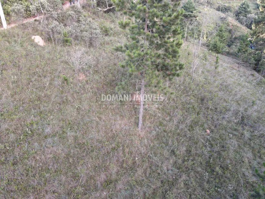 Terreno / Lote à venda, 3590m2 em Campos Do Jordao - SP - imagem 6 Foto 6 de Terreno / Lote à venda, 3590m2 em Campos Do Jordao - SP