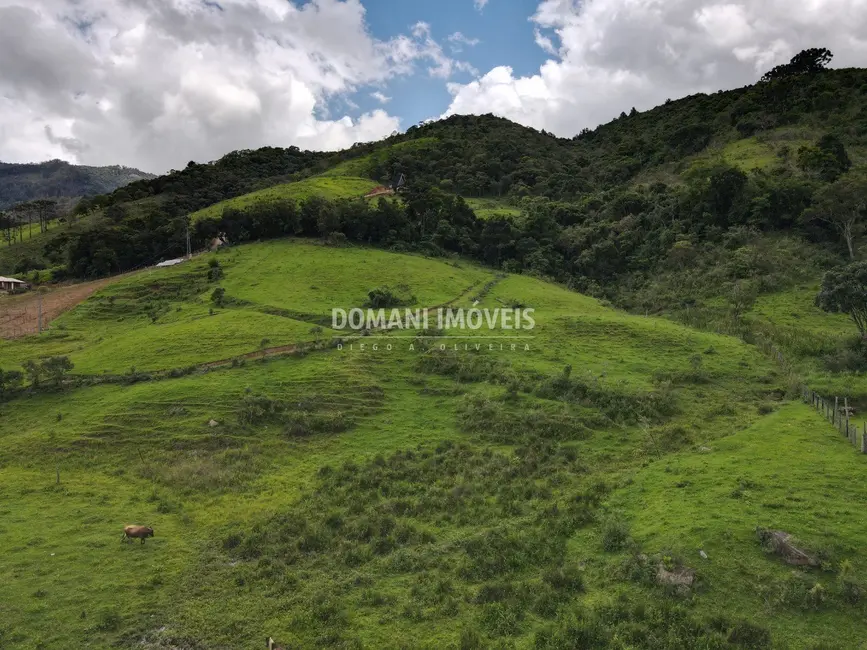 Foto 4 de Terreno / Lote à venda em Santo Antonio Do Pinhal - SP