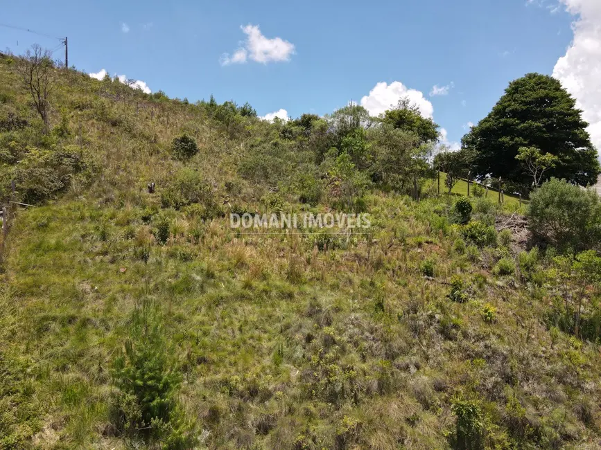Foto 4 de Terreno / Lote à venda, 1610m2 em Campos Do Jordao - SP