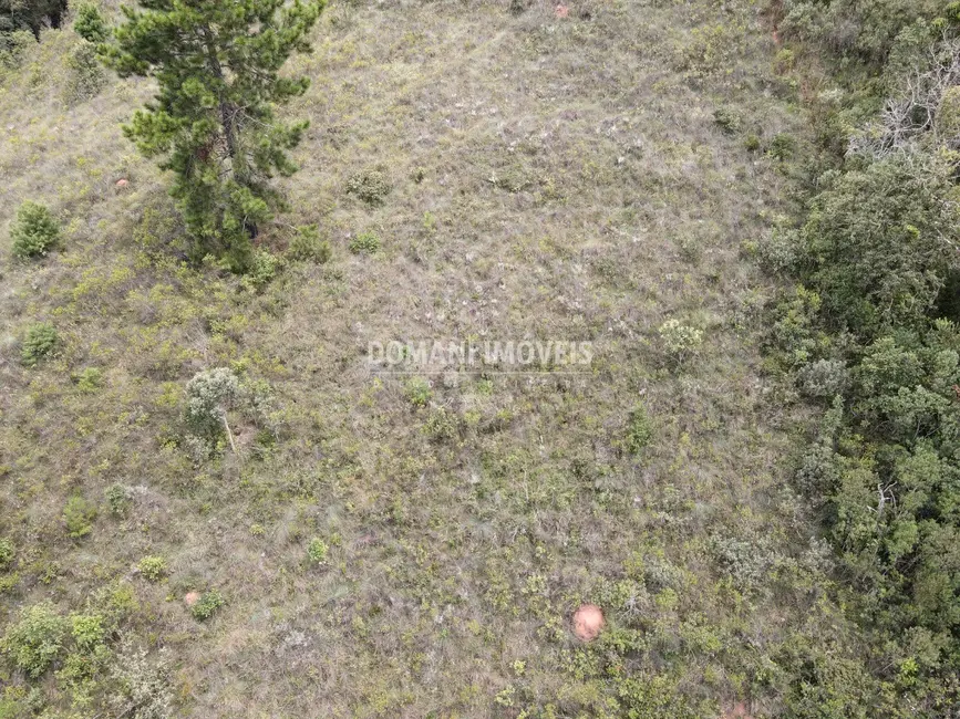 Foto 3 de Terreno / Lote à venda, 1980m2 em Campos Do Jordao - SP