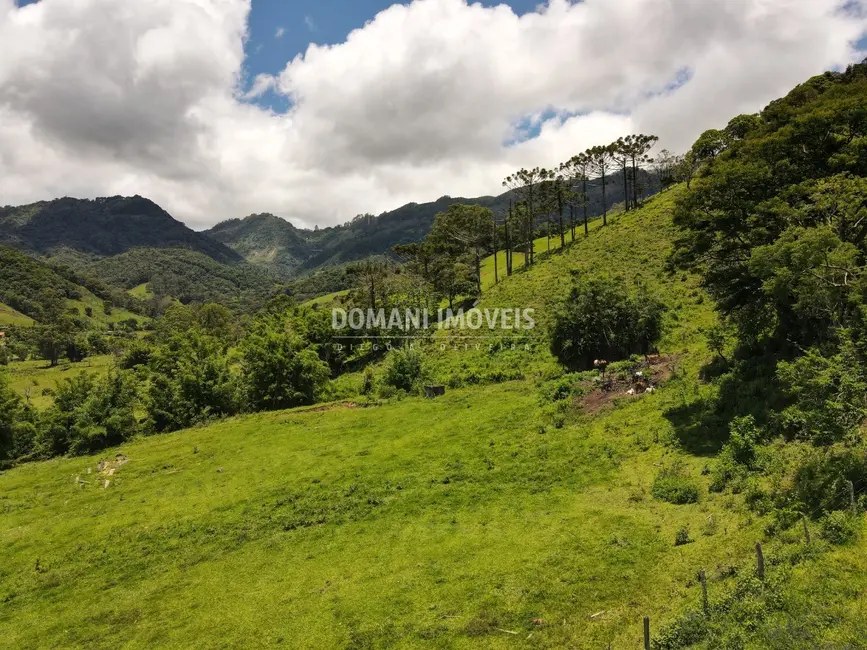 Foto 8 de Sítio / Rancho à venda em Campos Do Jordao - SP